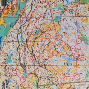 Musmatta Orienteering Obsession